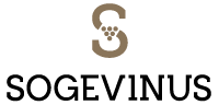 Logotipo Sogevinus